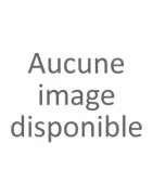 Réparation bloc abs Kove
