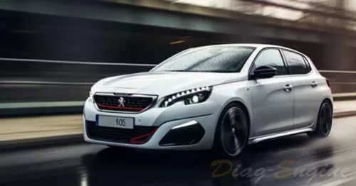 C1381 Peugeot