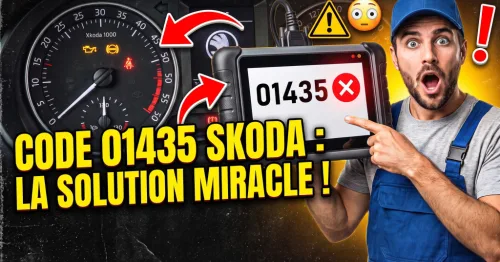 01435 Skoda
